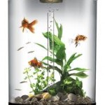 distilled water fish tank