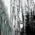 distilled water makes great icicles