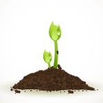 Realistic Green Sprouting Seeds | Image credit: Vector Open Stock